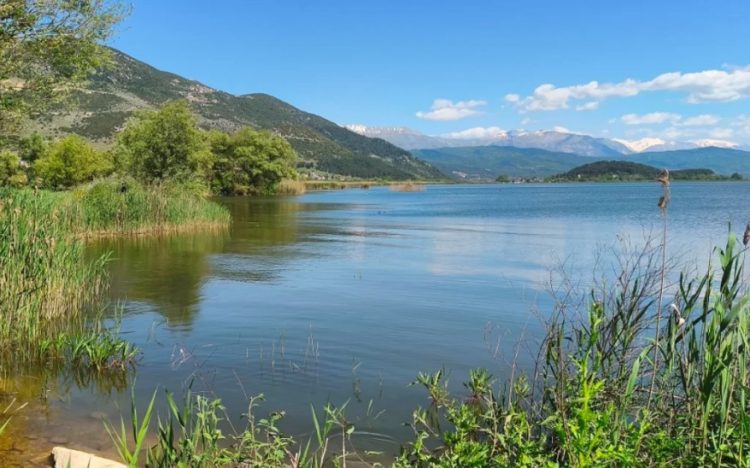 Λίμνη Παμβώτιδα: Τα επόμενα βήματα για τον εμπλουτισμό από τις πηγές Σεντενίκου