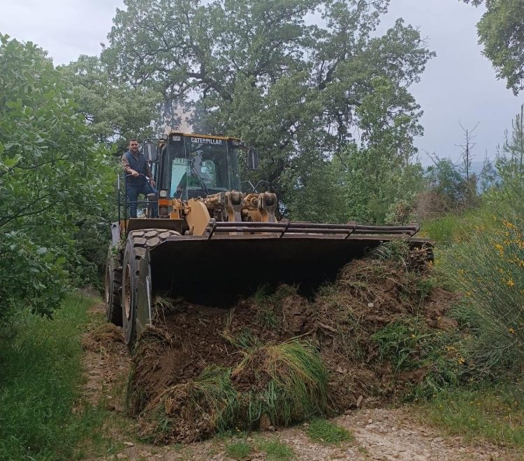 Σε πλήρη εξέλιξη το πρόγραμμα αντιπυρικής προστασίας του Δήμου Μετεώρων με καθαρισμούς δασικών δρόμων και δημιουργία αντιπυρικών ζωνών