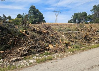 Ακαθάριστα οικόπεδα: Μέχρι τη Δευτέρα πρέπει να καθαριστούν και να δηλωθούν – Τα πρόστιμα