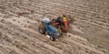 Τρίκαλα: Σε ΦΕΚ οι αποζημιώσεις για τις ζημιές σε καλλιέργειες από τον Daniel