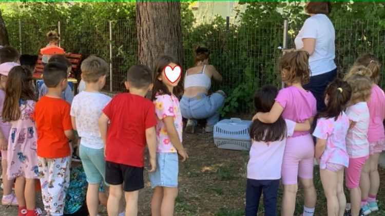 «Γίνε εθελοντής για τα ζώα» στο 33ο Νηπιαγωγείο Τρικάλων με τη συνδρομή του Δ. Τρικκαίων