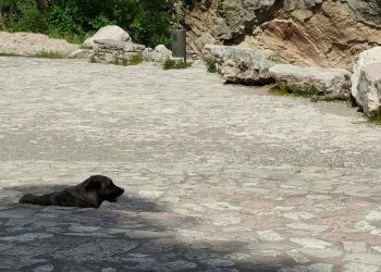 Καταρρέει το επικοινωνιακό αφήγημα – Σε πλήρη θέα η ανικανότητα, η ανευθυνότητα και η αδιαφορία της Δημοτικής Αρχής «Μαράβα»