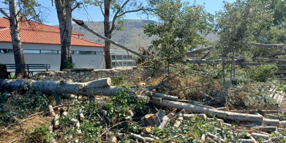 Μετρά τις πληγές του από το μπουρίνι ο Δήμος Φαρκαδόνας: έπεσαν δέντρα, στύλοι της ΔΕΗ, ξηλώθηκαν σκεπές (ΦΩΤΟ)