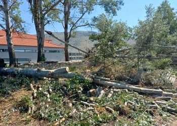 Μετρά τις πληγές του από το μπουρίνι ο Δήμος Φαρκαδόνας: έπεσαν δέντρα, στύλοι της ΔΕΗ, ξηλώθηκαν σκεπές (ΦΩΤΟ)