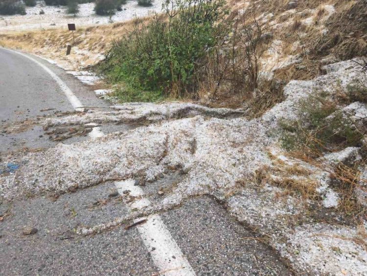 Εικόνες σοκ στον Τύρναβο από τη σφοδρή χαλαζόπτωση – «Άσπρισαν» οι δρόμοι, μεγάλες ζημιές σε καλλιέργειες (φωτό – βίντεο)