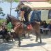 Το …ιππικό σε χωριό της Θεσσαλίας – Εντυπωσιακό το θέαμα (φωτο – βίντεο)