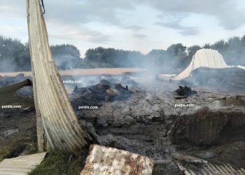 Δείτε φωτογραφίες: Μεγάλη καταστροφή σε ποιμνιοστάσιο σε χωριό – Φωτιά το έκανε στάχτη και έκαψε δεκάδες ζώα