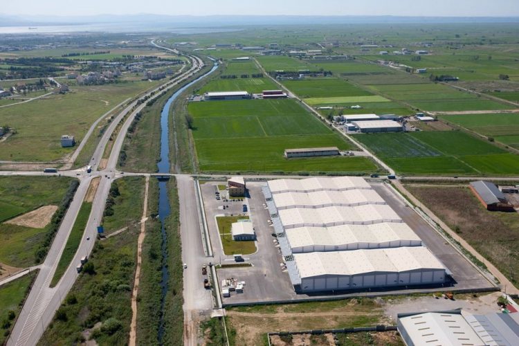 Γιατί οι “μεγάλοι” του κάμπου έβαλαν “οροφή” στη ΔΕΛΤΑ που ψάχνει αγοραστή – Τα αδέρφια Σαράντη και το χάσμα των 100 εκ. ευρώ 
