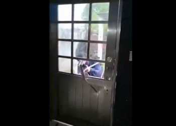 Μεξικό: Δημοσιογράφος τράβηξε σε βίντεο την απαγωγή της – Λίγο αργότερα την δολοφόνησαν
