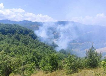 Δ. Μουζακίου: Ελέγχθηκε η δασική πυρκαγιά μεταξύ Αγ. Ακακίου και Καναλίων – Καίρια η άμεση επέμβαση των εναέριων μέσων (+Φωτο +Βίντεο)