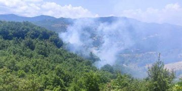 Δ. Μουζακίου: Ελέγχθηκε η δασική πυρκαγιά μεταξύ Αγ. Ακακίου και Καναλίων – Καίρια η άμεση επέμβαση των εναέριων μέσων (+Φωτο +Βίντεο)