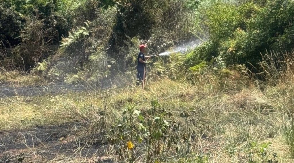 Φωτιά σε χορτολιβαδική έκταση στη Γλυκομηλιά – Άμεση κινητοποίηση της Πυροσβεστικής Υπηρεσίας Καλαμπάκας (ΦΩΤΟ)