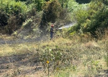 Φωτιά σε χορτολιβαδική έκταση στη Γλυκομηλιά – Άμεση κινητοποίηση της Πυροσβεστικής Υπηρεσίας Καλαμπάκας (ΦΩΤΟ)