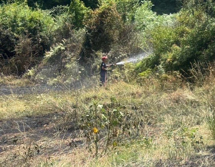 Φωτιά σε χορτολιβαδική έκταση στη Γλυκομηλιά – Άμεση κινητοποίηση της Πυροσβεστικής Υπηρεσίας Καλαμπάκας (ΦΩΤΟ)