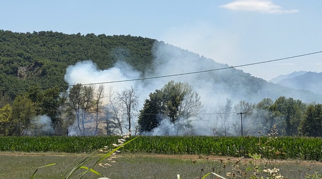 Φωτιά στη Μύκανη Καλαμπάκας – Στο σημείο η Πυροσβεστική (ΦΩΤΟ)