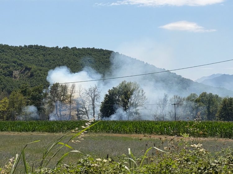 Φωτιά στη Μύκανη Καλαμπάκας – Στο σημείο η Πυροσβεστική (ΦΩΤΟ)