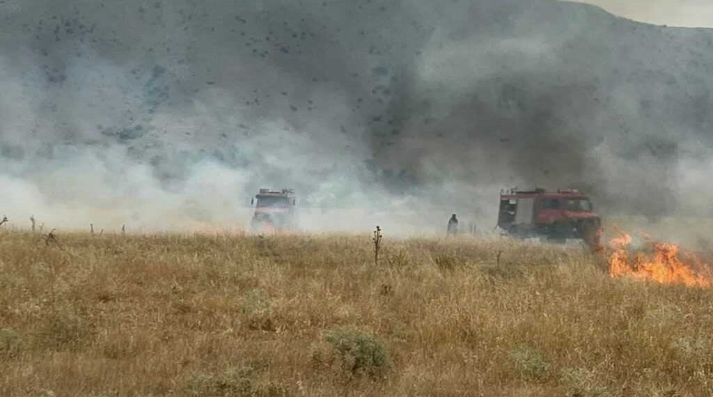Άμεση κινητοποίηση για φωτιά στη ΒΙ.ΠΕ. Φαρκαδόνας – Η πυρκαγιά τέθηκε γρήγορα υπό έλεγχο (ΦΩΤΟ)