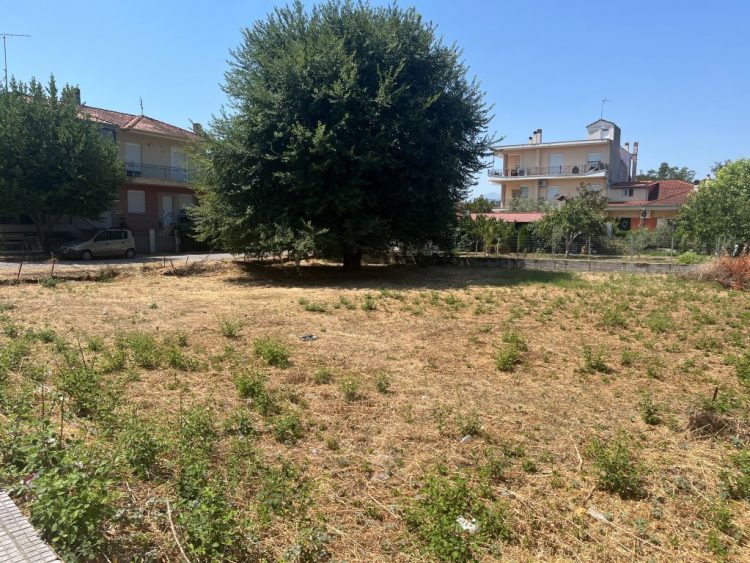 Νέες παρεμβάσεις για τη βελτίωση καθημερινότητας και υποδομών στα Τρίκαλα