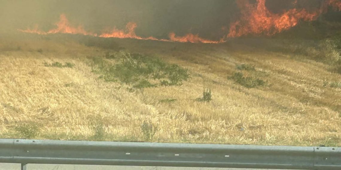 Μεγάλη φωτιά στον περιφερειακό Τρικάλων – Στις φλόγες έκταση στο ύψος του Ε65 στο Μεγαλοχώρι
