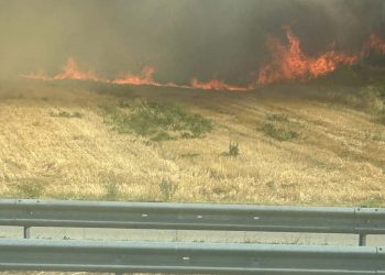 Μεγάλη φωτιά στον περιφερειακό Τρικάλων – Στις φλόγες έκταση στο ύψος του Ε65 στο Μεγαλοχώρι