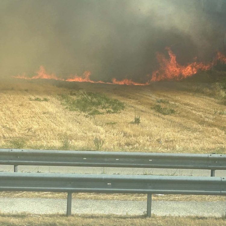 Μεγάλη φωτιά στον περιφερειακό Τρικάλων – Στις φλόγες έκταση στο ύψος του Ε65 στο Μεγαλοχώρι