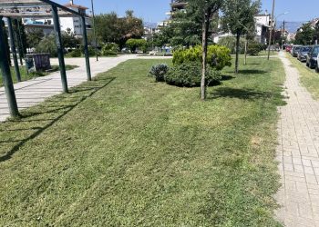 Καλλωπισμός και καθαρισμός πρασίνου σε 4 γειτονιές των Τρικάλων