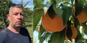 Αγρότης στη Λάρισα χαρίζει τα νεκταρίνια του αντί να τα πουλήσει (ΦΩΤΟ)