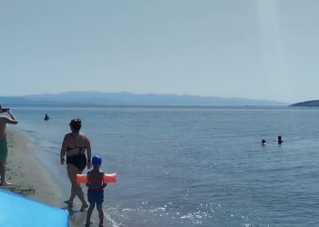 Απίστευτη εμφάνιση στον Παγασητικό: Φάλαινα εντοπίστηκε ανοιχτά του Βόλου – To βίντεο που εντυπωσιάζει
