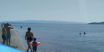 Απίστευτη εμφάνιση στον Παγασητικό: Φάλαινα εντοπίστηκε ανοιχτά του Βόλου – To βίντεο που εντυπωσιάζει