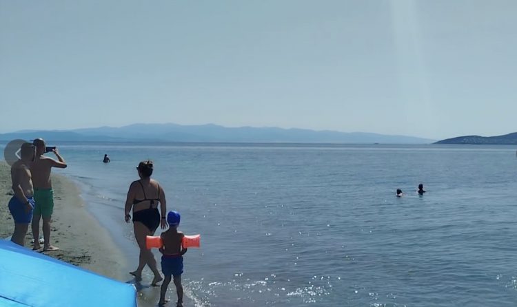 Απίστευτη εμφάνιση στον Παγασητικό: Φάλαινα εντοπίστηκε ανοιχτά του Βόλου – To βίντεο που εντυπωσιάζει
