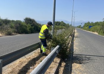 Νέος καθαρισμός πρασίνου στην περιφερειακή οδό από τον Δήμο Τρικκαίων